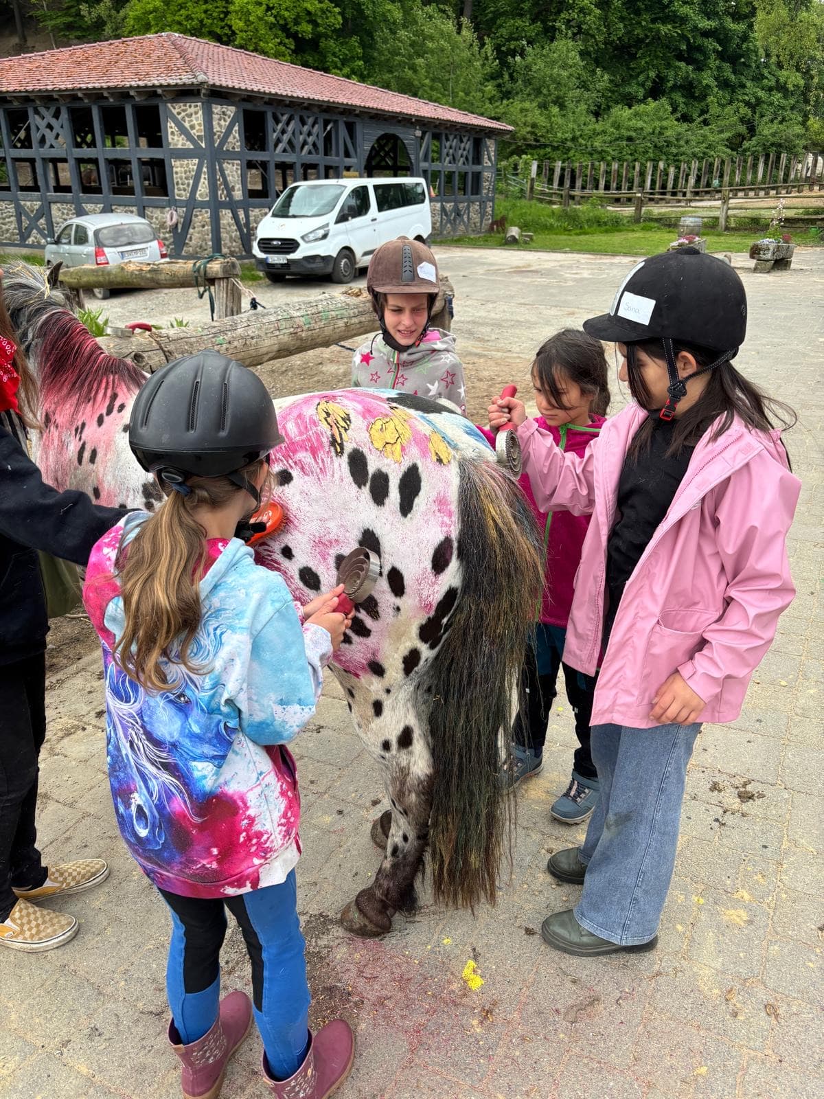 Kinder putzen gemeinsam ein Pony auf dem Reiterhof.